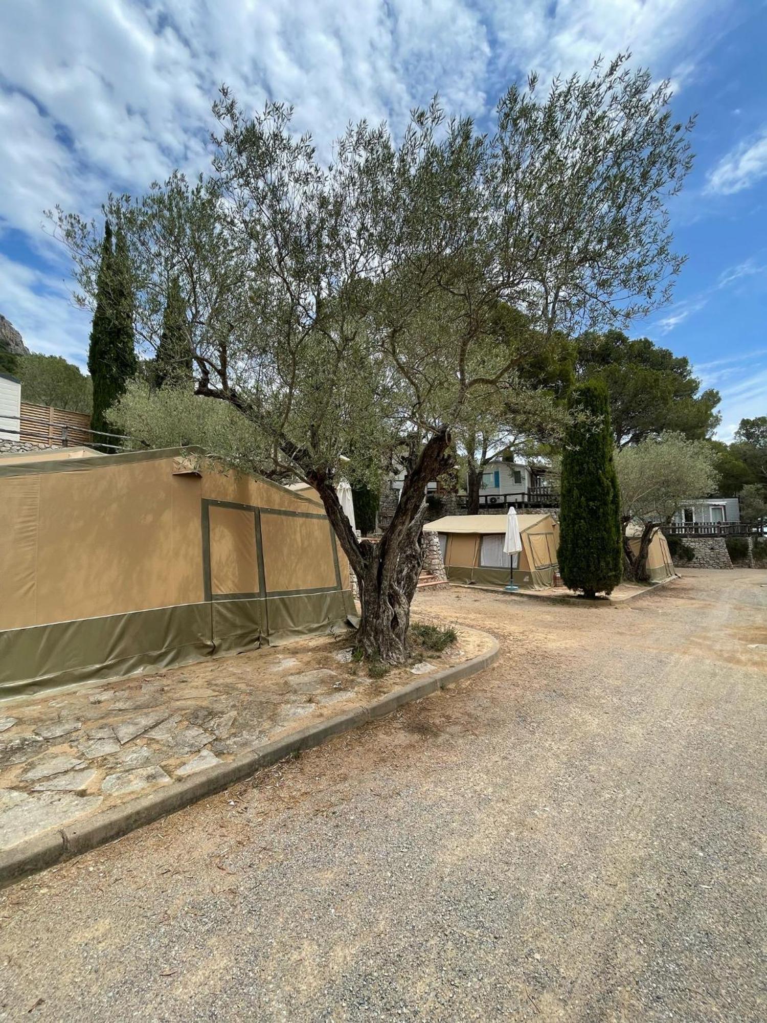 ל'אסטרטיט Camping Castell Montgri **** מראה חיצוני תמונה